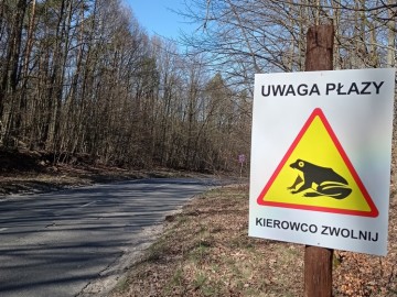 znak drogowy dla kierowców od południa ul. wycieczkowej , 